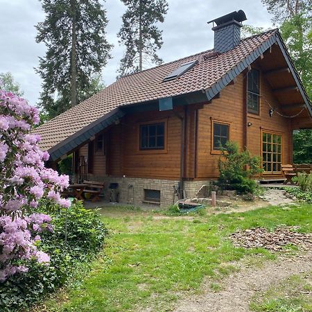 Waldhaus Eichhoernchen Bad Schmiedeberg Zewnętrze zdjęcie
