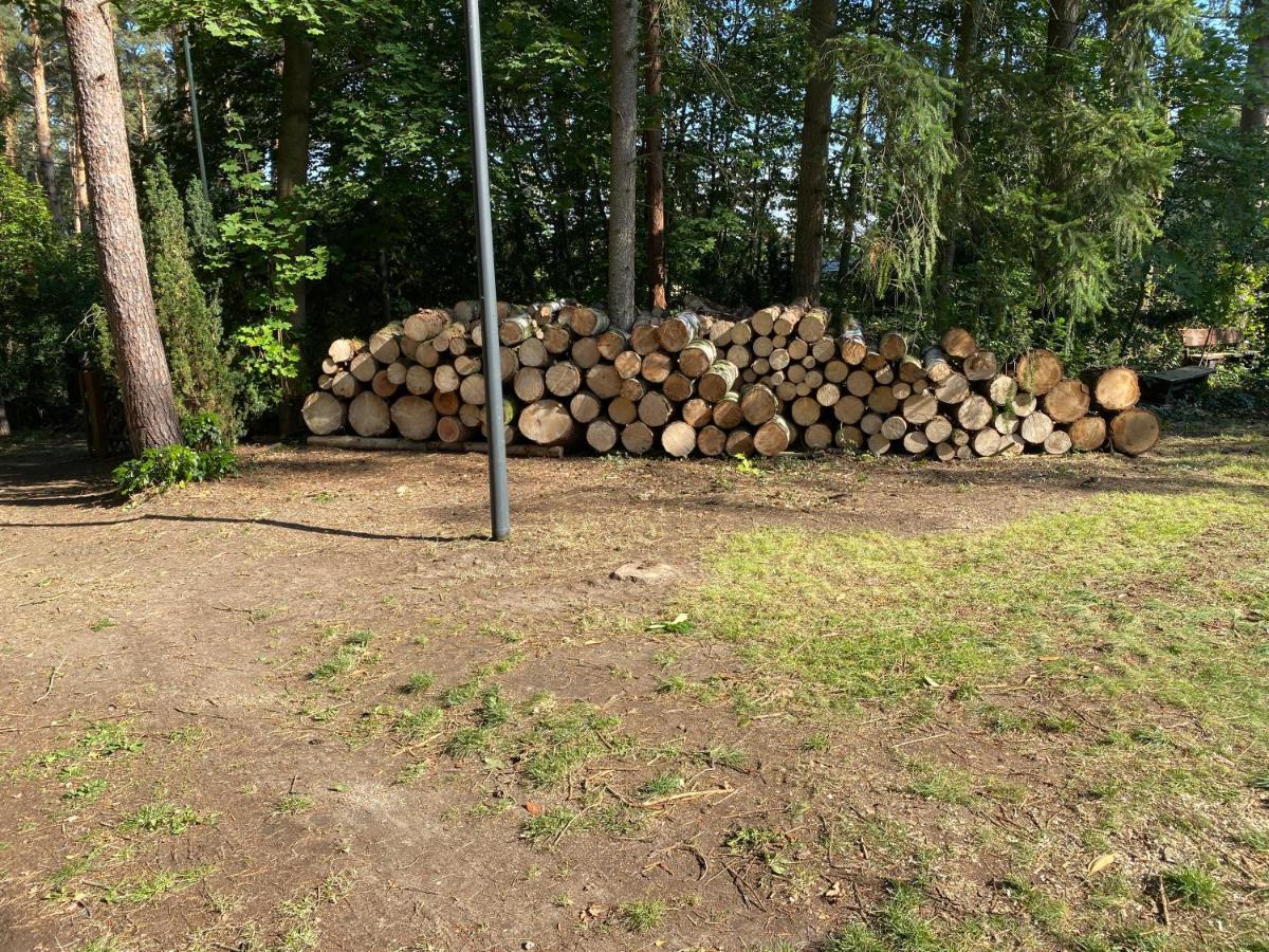 Waldhaus Eichhoernchen Bad Schmiedeberg Zewnętrze zdjęcie