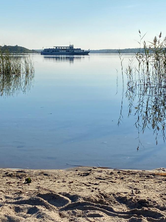 Waldhaus Eichhoernchen Bad Schmiedeberg Zewnętrze zdjęcie