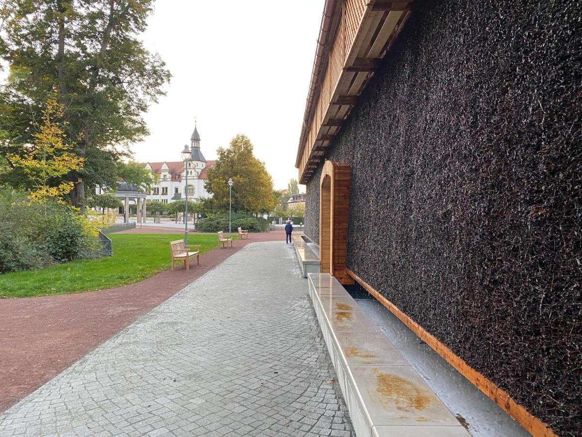 Waldhaus Eichhoernchen Bad Schmiedeberg Zewnętrze zdjęcie
