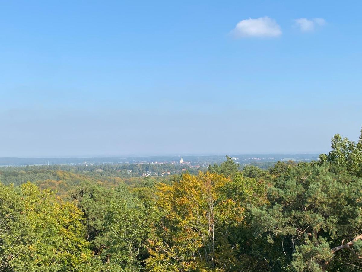 Waldhaus Eichhoernchen Bad Schmiedeberg Zewnętrze zdjęcie
